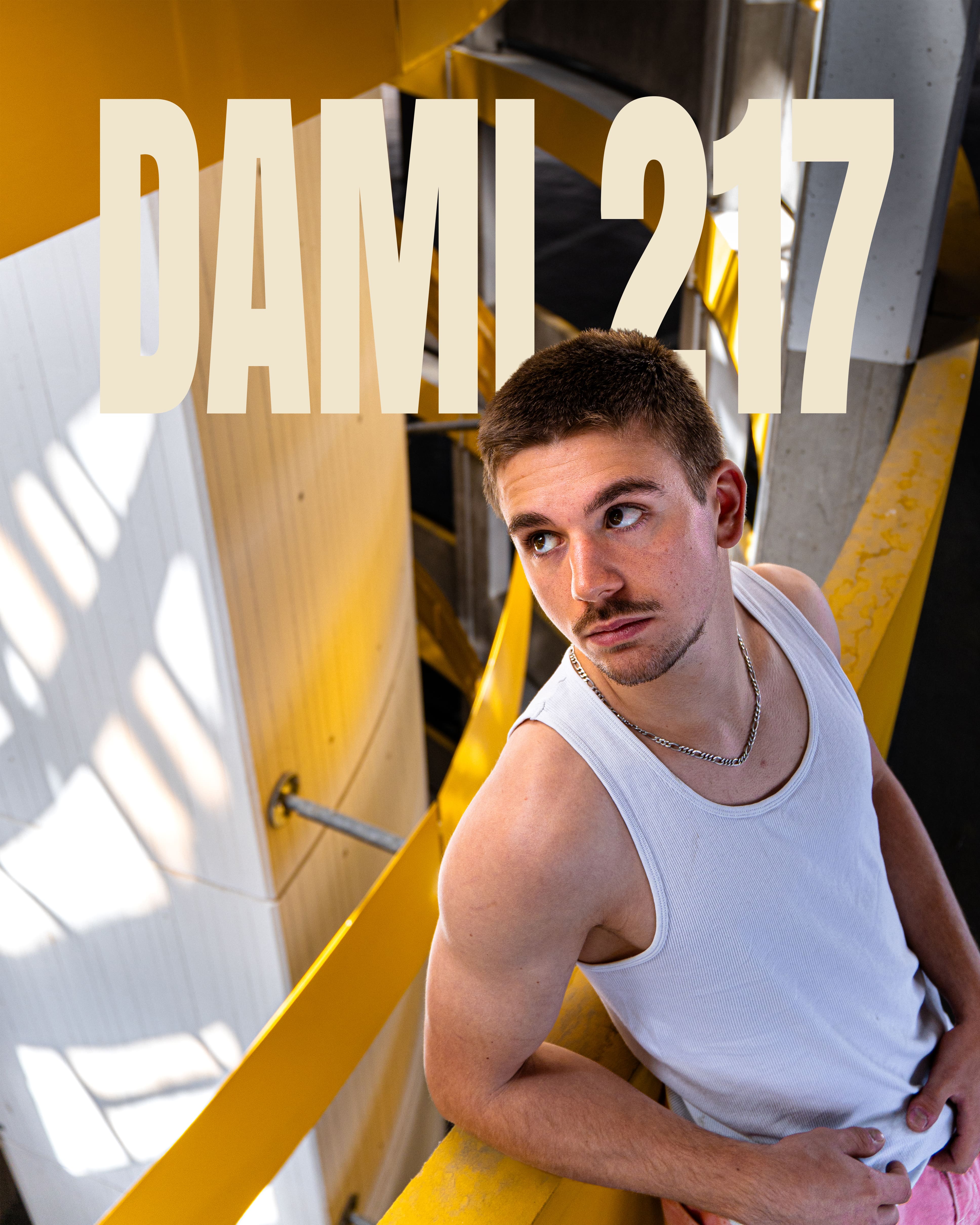 DAMI 217 Image 1