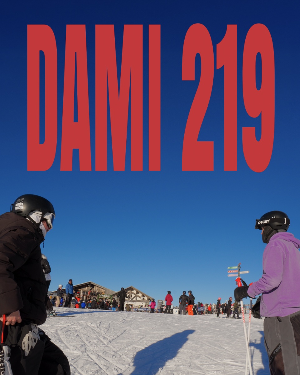 DAMI 219