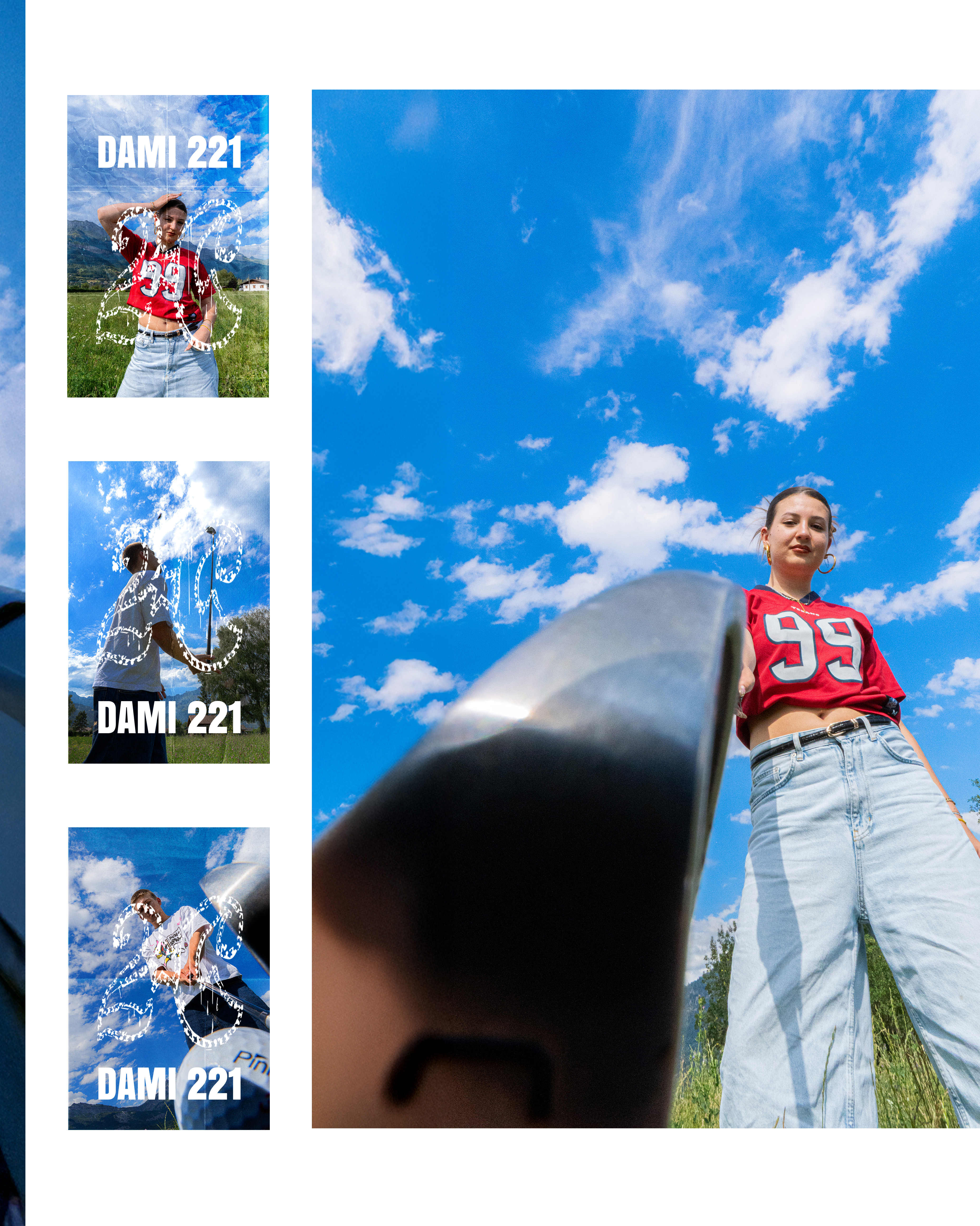 DAMI 221 Image 2
